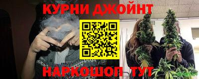 шишки Кингисепп