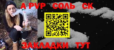 шишки Кингисепп