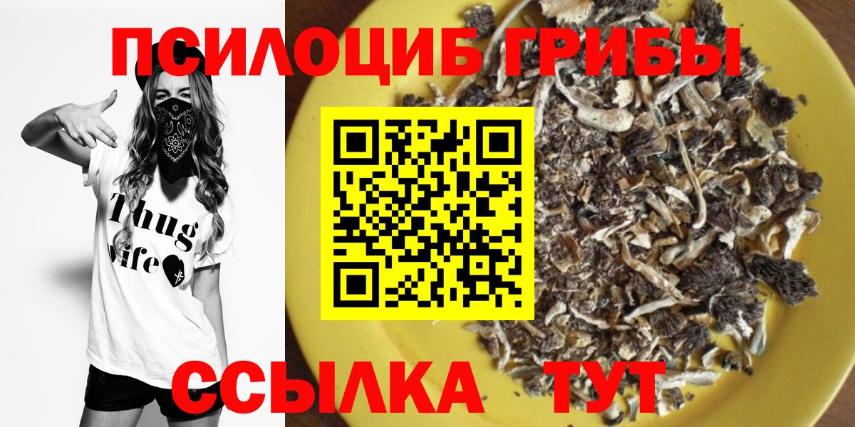 Галлюциногенные грибы мицелий Фурманов